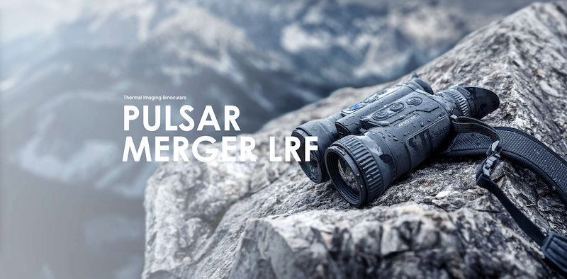 Pulsar Merger LRF