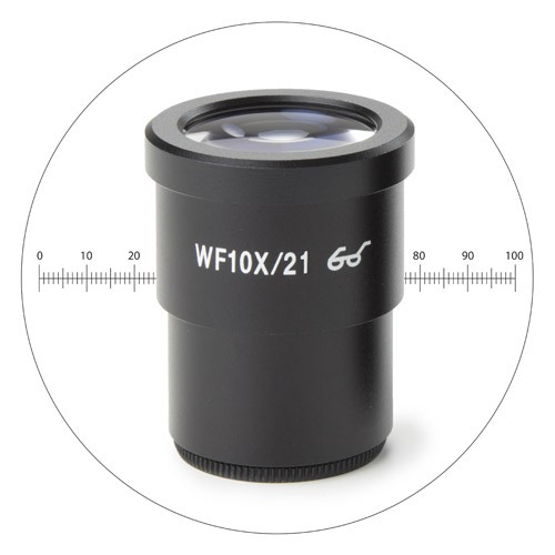 Euromex - Oculaire WF 10X SB avec échelle micrométrique