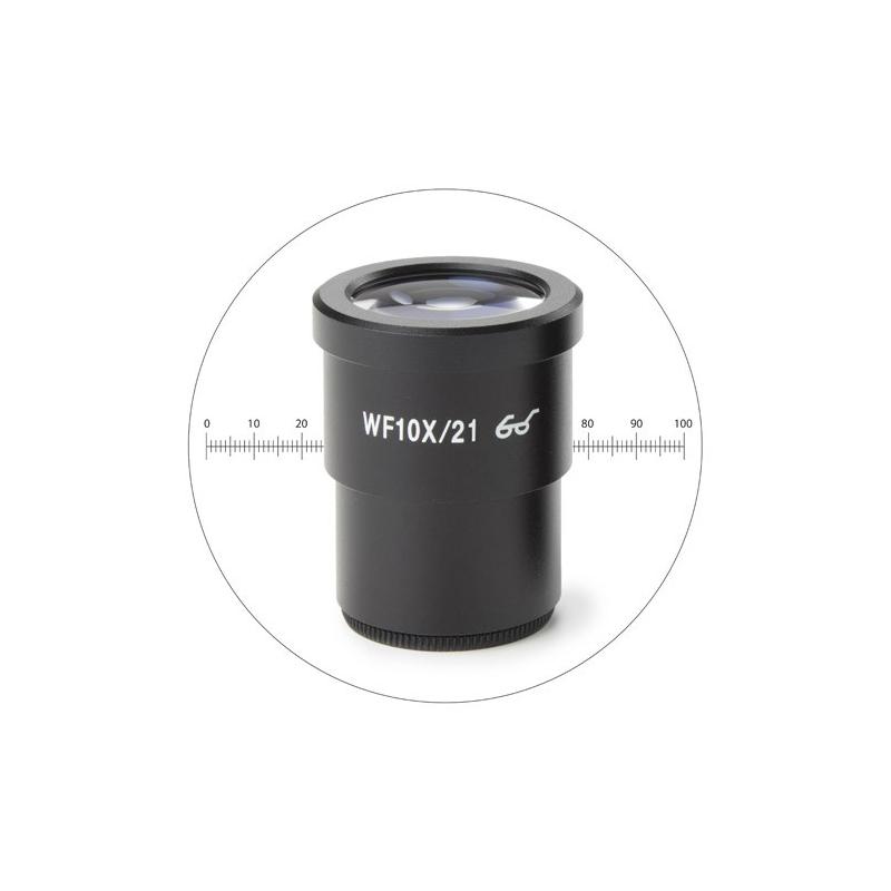 Euromex - Oculaire WF 10X SB avec échelle micrométrique