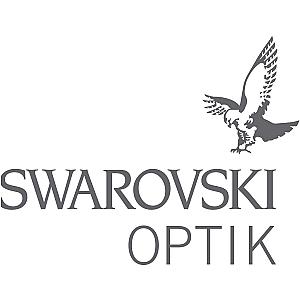 Swarovski | 10x25 CL PocketANTHRACITE + MO Concept-Terrain