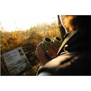 Swarovski | 7x28 MY Junior Jungle Green