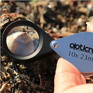 Opticron | 10x Loupe pliante en métal