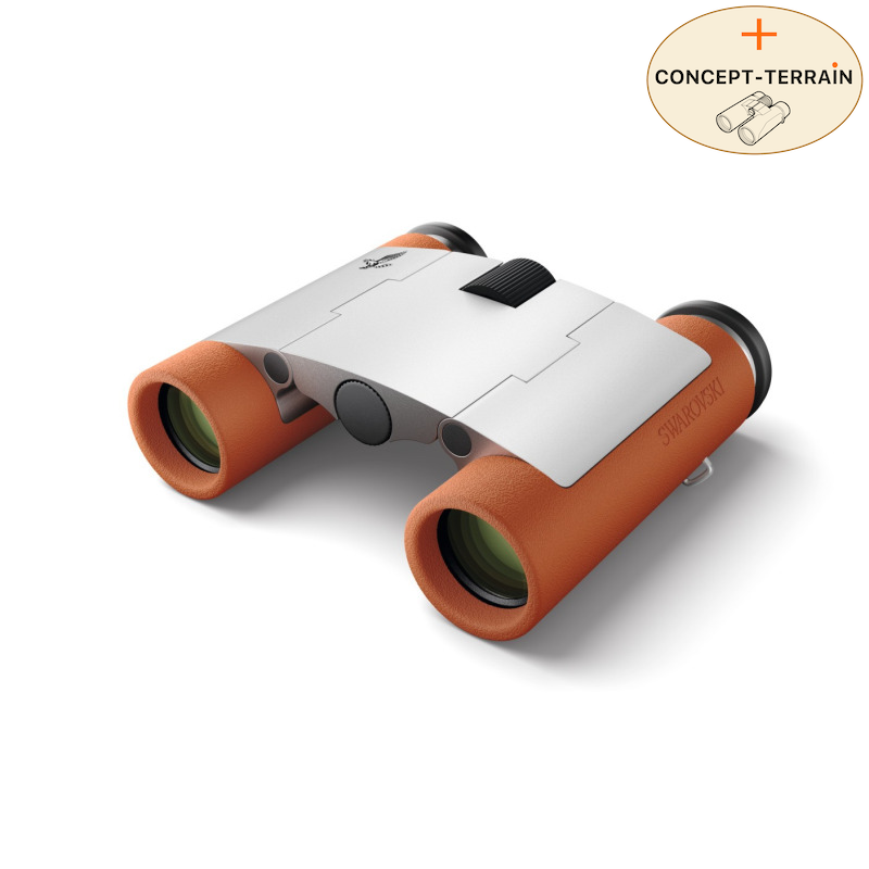 Swarovski | 7x21 CL CURIO - Burnt Orange | Konzept-Terrain