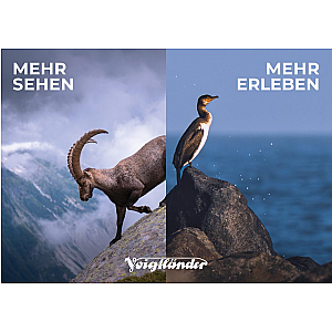Voigtländer | 8x25 APO Vienna | Concept-Terrain